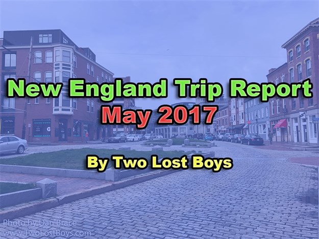New England Trip Report, May 2017
